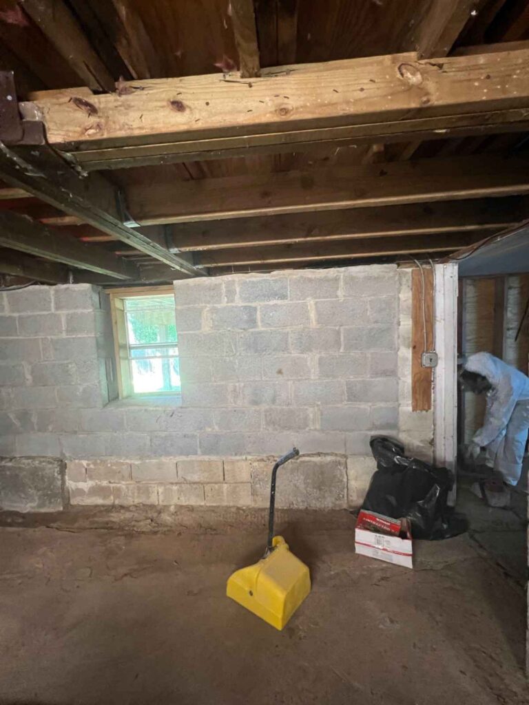 Emergency Mold Removal and Remediation Services Manhattan