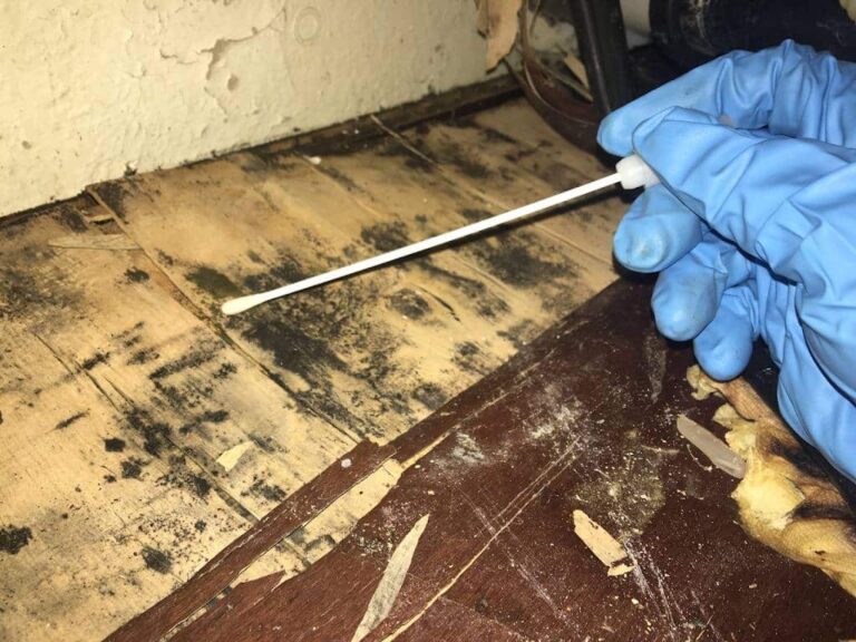 Surface Sampling Service Manhattan | Reliable Indoor Testing