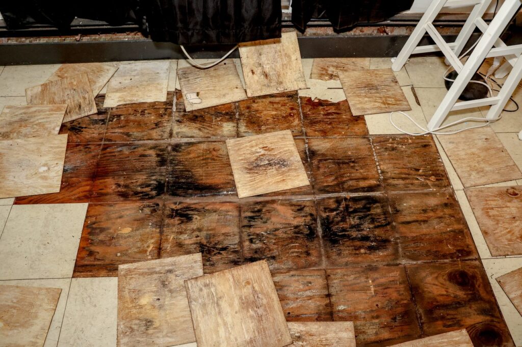 Mold Remediation Services in Tribeca Manhattan