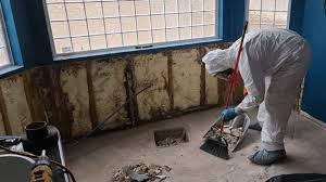 Mold Remediation Services in Chinatown Manhattan