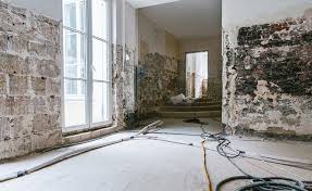 Mold Remediation Services in Financial District Manhattan
